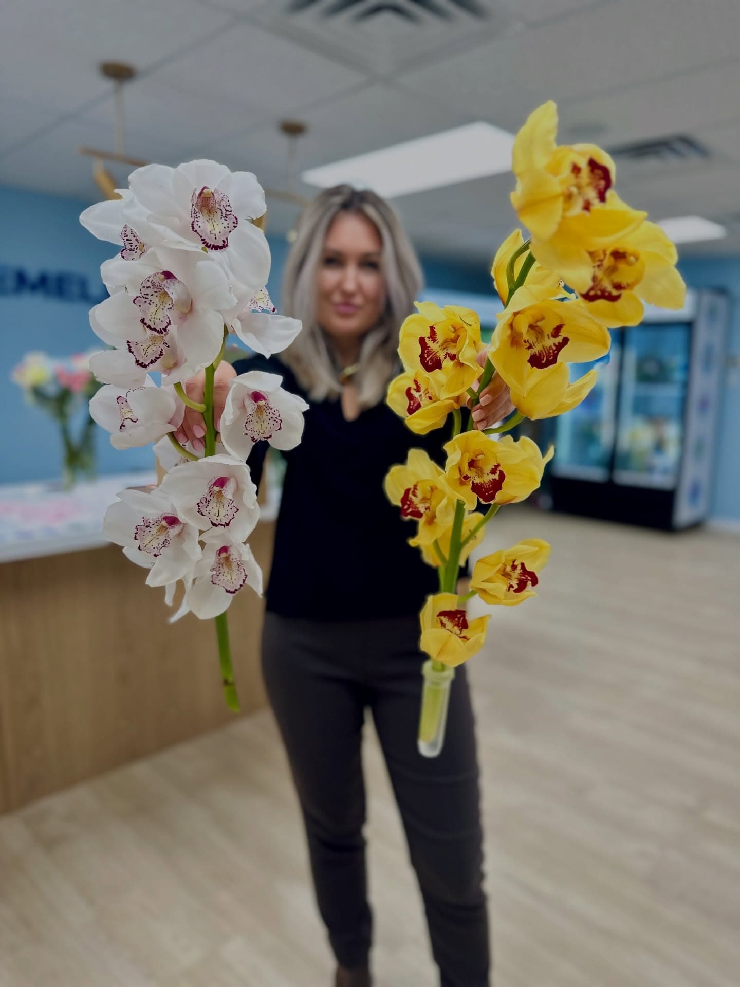 Elegant white orchids or bold sunny yellow